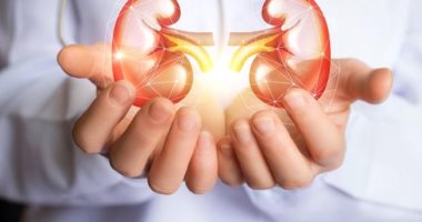 اسباب تشكل حصى الكلى والمرارة وكيف نتجنبها