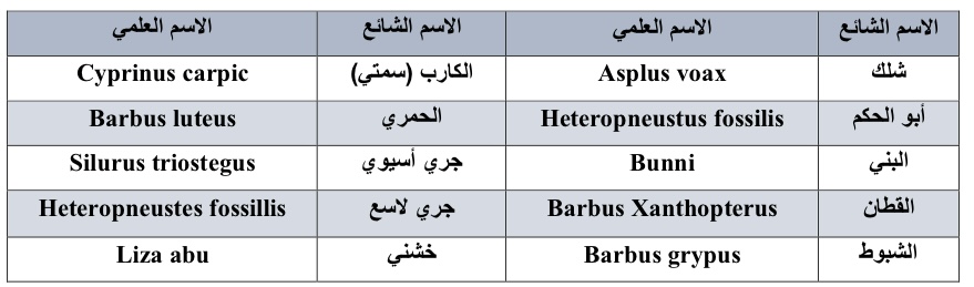 جدول (١) أنواع الأسماك في أهوار محافظة ذي قار