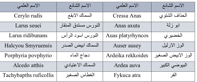 جدول(٢) أنواع الطيور المتواجدة في أهوار جنوب محافظة ذي قار